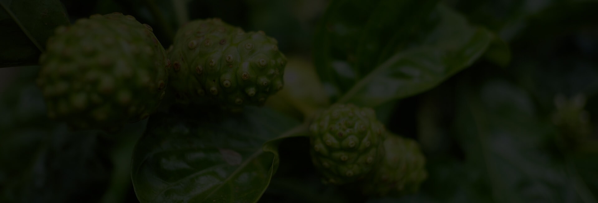 footer-background