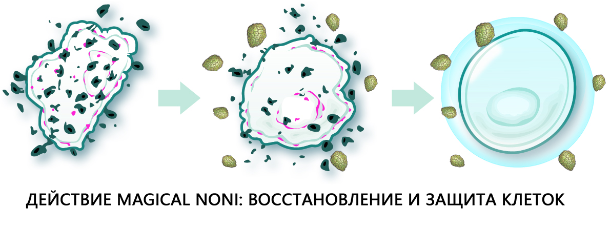 восстановление на клеточном уровне