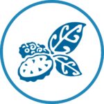 icon_noni-1 icon_noni-1